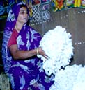 Cotton growing farmer